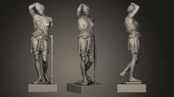 3D model Wounded Amazon (STL)